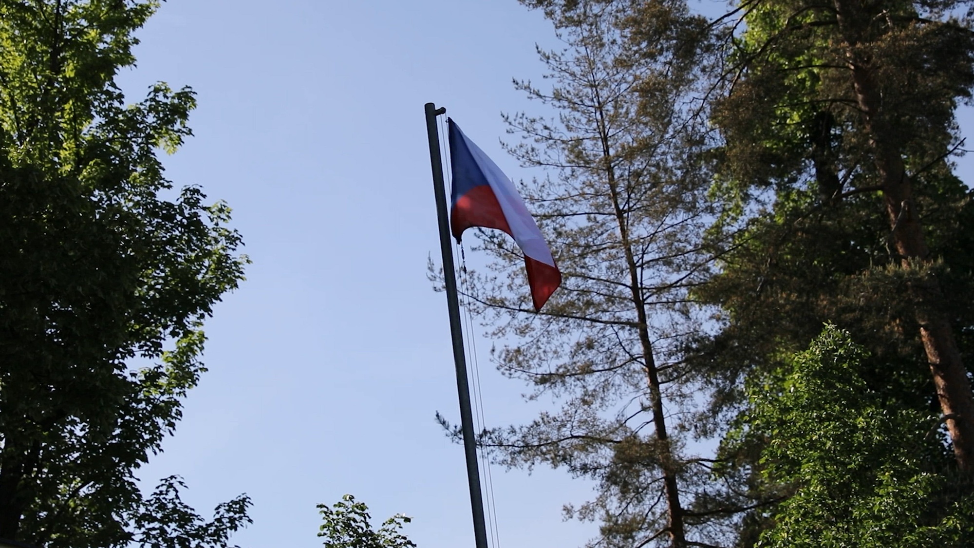Lt. Col. Kevin Hoffman, commander of 3d Battalion, 116th Infantry Regiment, 29th Infantry Division, addressed the gathering of US and Czech Armies that comprise Task Force St. Lo during Immediate Response 24 to celebrate Victory Europe Day in Hranice, Czechia, on May 8, 2024. The ceremony pays homage to those who have fallen in service to their country and highlights the importance of the partnership between the United States and Czechia. DEFENDER is a Dynamic Employment of Forces to Europe for NATO Deterrence and Enhanced Readiness, and is a U.S. European Command scheduled, U.S. Army Europe and Africa conducted exercise that consists of Saber Strike, Immediate Response, and Swift Response. DEFENDER 24 is linked to NATO’s Steadfast Defender exercise, and DoD’s Large Scale Global Exercise, taking place from 28 March to 31 May. DEFENDER 24 is the largest U.S. Army exercise in Europe and includes more than 17,000 U.S. and 23,000 multinational service members from more than 20 Allied and partner nations, including Croatia, Czechia, Denmark, Estonia, Finland, France, Germany, Georgia, Hungary, Italy, Latvia, Lithuania, Moldova, Netherlands, North Macedonia, Norway, Poland, Romania, Slovakia, Spain, Sweden, and the United Kingdom.  (U.S. Army Reserve video by Maj. Brandin Walker)