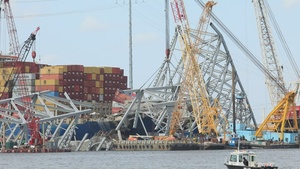 Wreckage Removal
