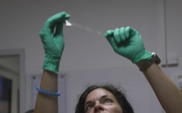 BROLL: African Lion 24 features forensics classes on fingerprinting and tool markings in Bizerte, Tunisia