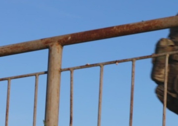 Swift Response 24 Jump