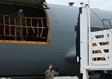 Royal Flush cargo loading b-roll