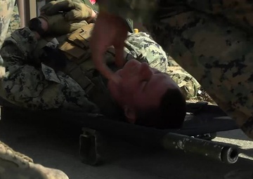 Warrior Shield 24.1 Casualty Evacuation Drill