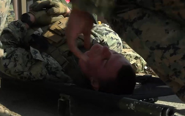 Warrior Shield 24.1 Casualty Evacuation Drill