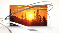 The Morning Show 15 May 2024