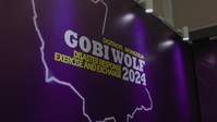 Gobi Wolf 2024