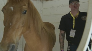 Marine Corps Mounted Color Guard - Sgt. Davis Interview