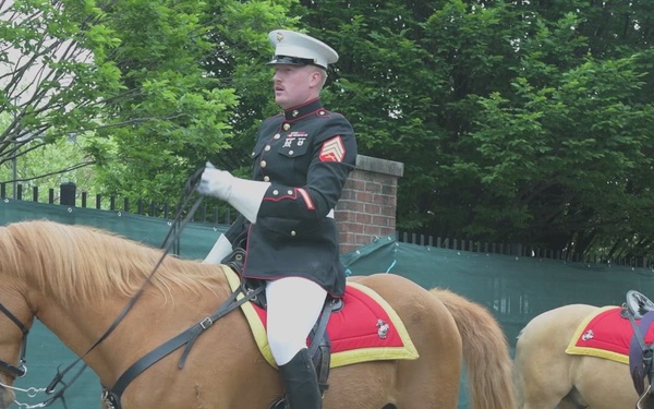 Marine Corps Mounted Color Guard presents the Colors