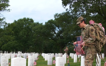 Flags In 2024 B-Roll - Arlington National Cemetery