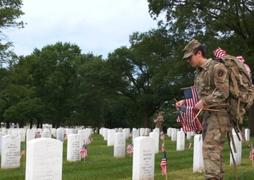 Flags In 2024 B-Roll - Arlington National Cemetery