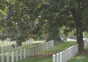 Remembering Travis J. Manion and Brendan A. Looney