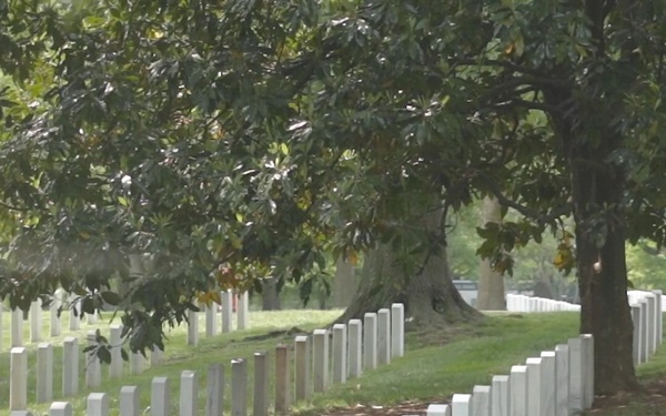 Remembering Travis J. Manion and Brendan A. Looney