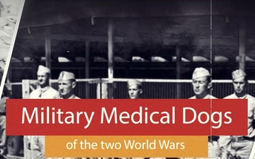 Military Medical Dogs from WW1 &amp; 2