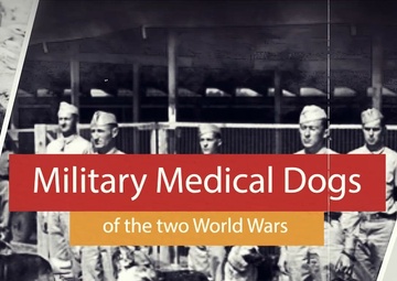Military Medical Dogs from WW1 &amp; 2