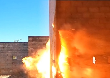 Meet Your Monitor: 03XX Infantry Monitors