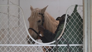 The Marine Corps Mounted Color Guard East Coast Tour (b-roll)