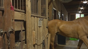 The Marine Corps Mounted Color Guard East Coast Tour (b-roll)