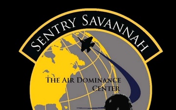 Sentry Savannah Intro/Outro Graphic