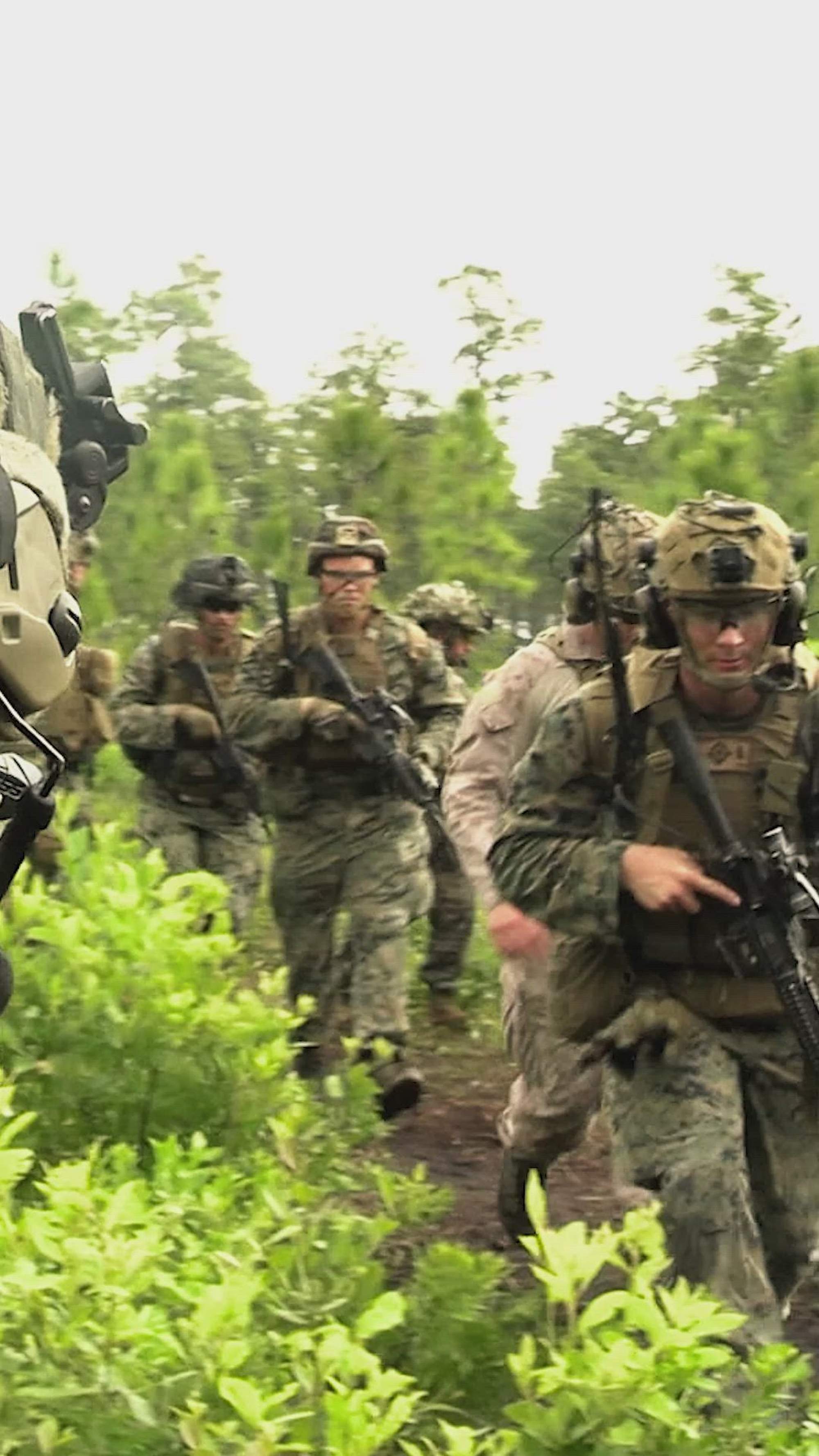 U.S. Marines with 2d Battalion, 6th Marine Regiment, 2d Marine Division take part in a Marine Corps Combat Readiness Evaluation (MCCRE) on Marine Corps Base Camp Lejeune, North Carolina, May 9, 2024. The MCCRE involves a range of scenarios and challenges that test the unit&#39;s ability to plan, coordinate, and execute complex missions, including offensive and defensive operations, logistics, and communications. (U.S. Marine Corps video by Lance Cpl. Frank Sepulveda Torres)