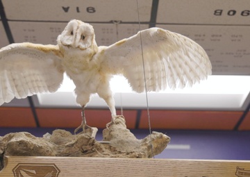 First female Swiss fighter pilot graduates from U.S. Air Force Test Pilot School