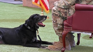 Military Working Dog Ivan Retirement