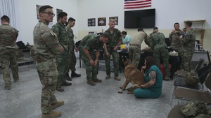 JEMX 2024 Military Working Dog B-roll
