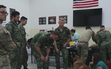 JEMX 2024 Military Working Dog B-roll