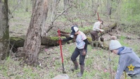 USACE partners with University of Minnesota on forest ecosystem study