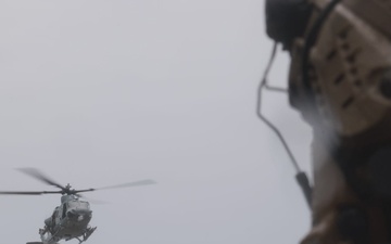 U.S. Marines with HMLA-167 and 2nd LAAD Battalion train together during DAOEx 24