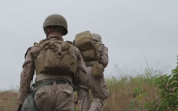 B-Roll: 2nd Bn., 4th Marines conducts field exercise