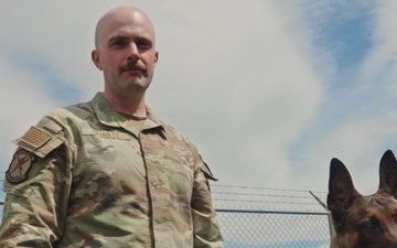 Military Working Dogs at Hill Air Force Base