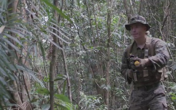 B-Roll: MRF-D 24.3: Fox Co., 2nd Bn., 5th Marines (Rein.) rehearse patrolling in Australian jungle