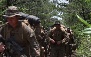 Battalion Landing Team 1/4 conducts jungle warfare training