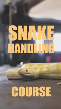 Reel: MRF-D 24.3 U.S. Sailors participate in snake handling course