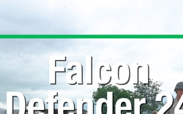 Falcon Defender 24