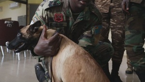 BROLL Interview: US Army Capt. Pino describes veterinary medical readiness exercise in Ghana