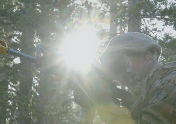 Mountain Training Exercise 4-24: Marines forever summit