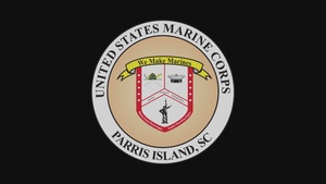 Delta Company Confidence Course
