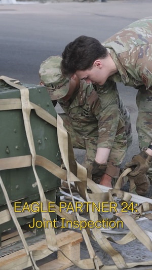 Eagle Partner 24: Joint Inspection