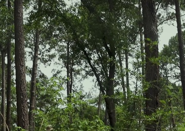 Fox Company Land Navigation