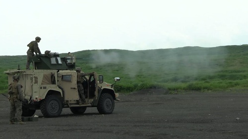 Fuji Viper 24.3 Showcases Marines’ Lethality, Readiness