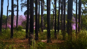 165th Security Forces Mission Ready Airmen conduct Agile Combat Employment during field training exercise