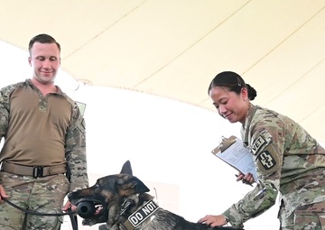 U.S. Army Vet Services Support 379th ESFS MWD Clinic