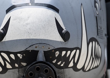 A-10s support RIMPAC 2024