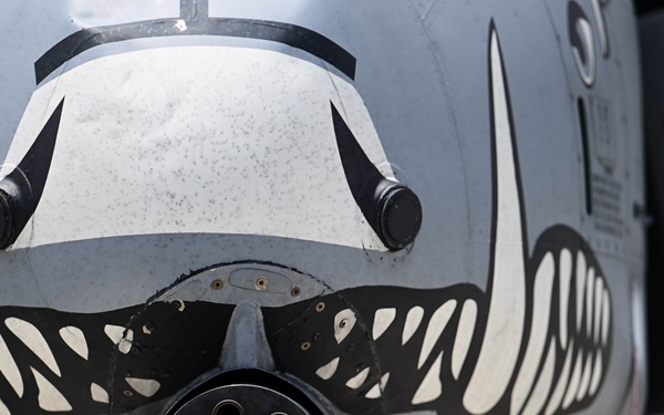 A-10s support RIMPAC 2024