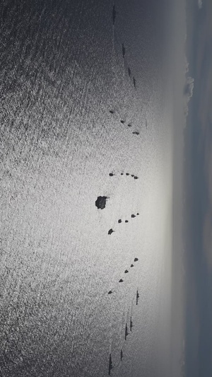 REEL PHOTO EX RIMPAC 2024