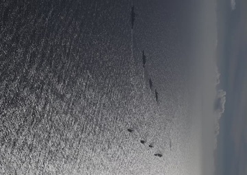 REEL PHOTO EX RIMPAC 2024