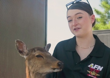 Pacific Passport: Miyajima