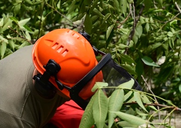 RED HORSE Route Clearance - Hurricane Debby
