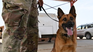 Vet TCCC training at Chabelley Airfield