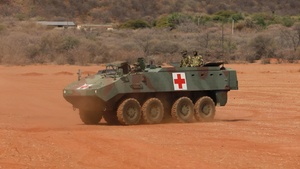 Broll: US, Botswana conduct simulated casualty evacuation at zero range